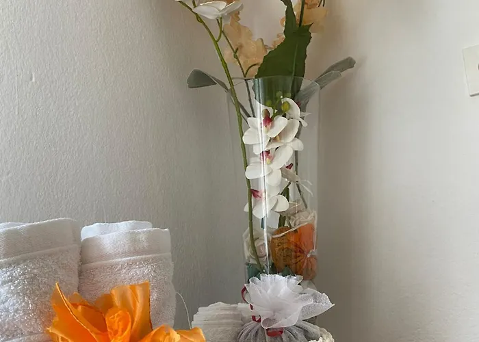 Vjera - Late Check In Сплит