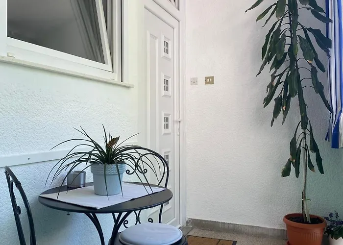 Vjera - Late Check In