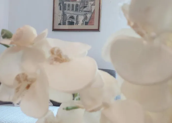 Апартаменты Vjera - Late Check In *