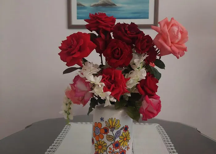 Vjera - Late Check In Сплит