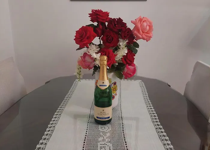 Vjera - Late Check In