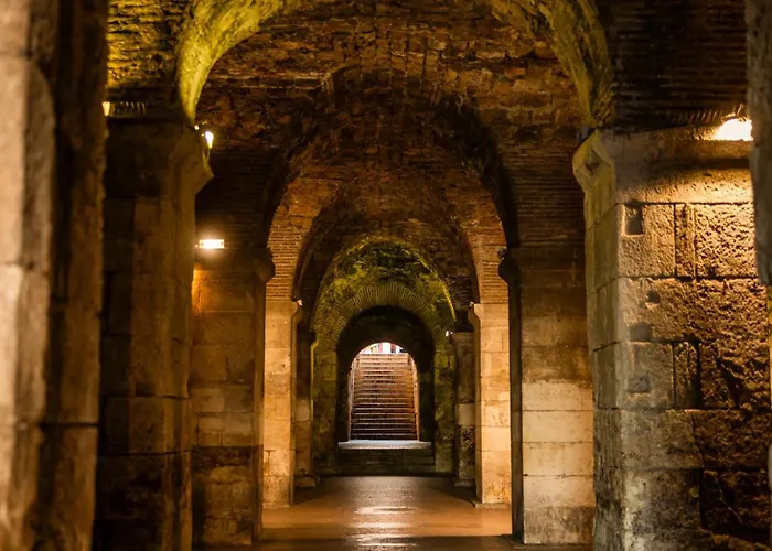 Vjera - Late Check In